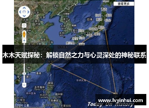 木木天赋探秘：解锁自然之力与心灵深处的神秘联系