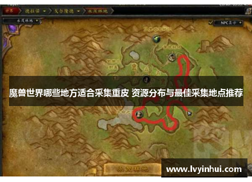 魔兽世界哪些地方适合采集重皮 资源分布与最佳采集地点推荐